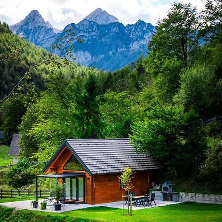 Radovna Chalet With Panoramic View Mojstrana Ngoại thất bức ảnh