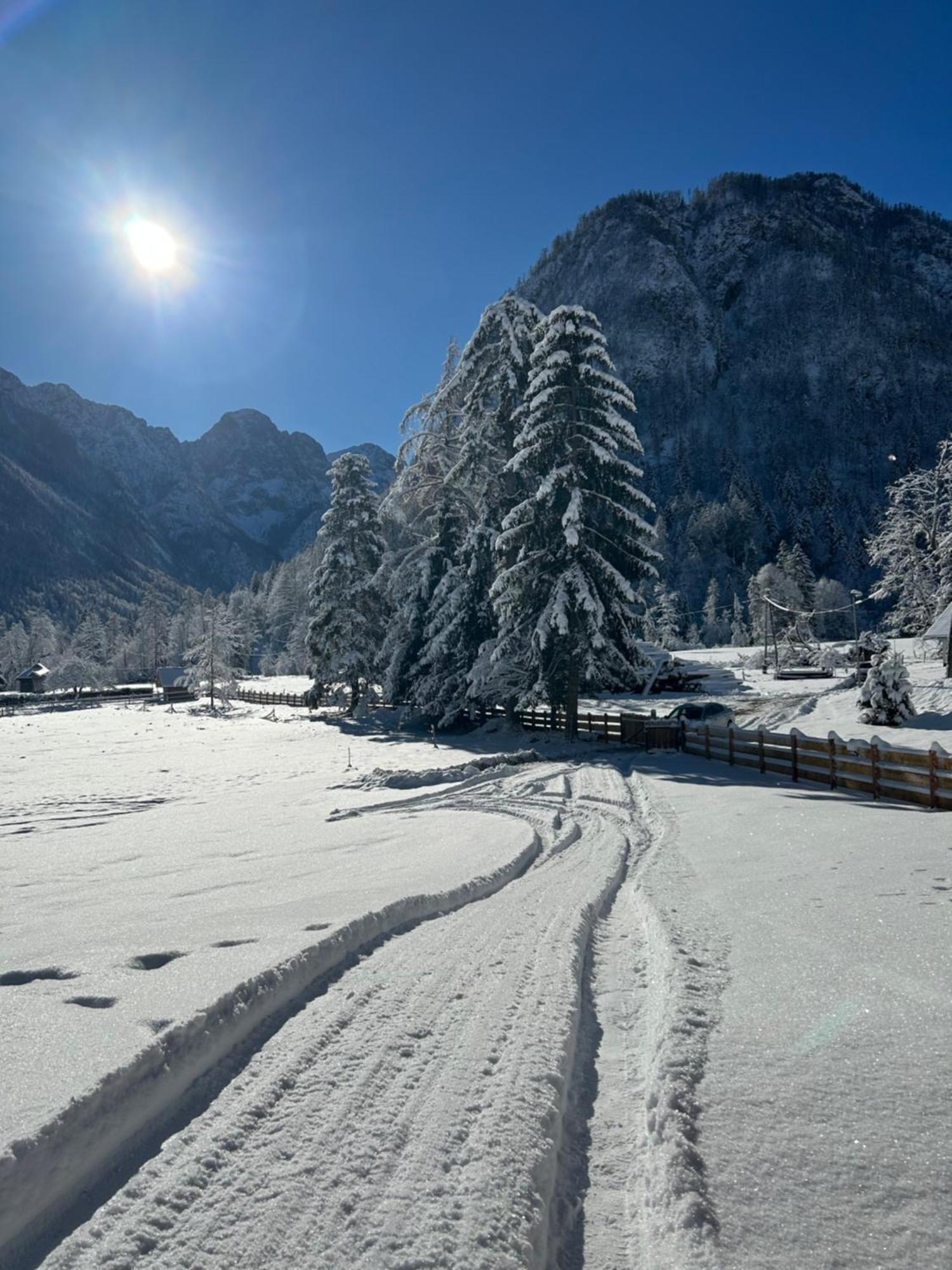 Radovna Chalet With Panoramic View Mojstrana Ngoại thất bức ảnh
